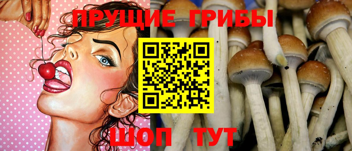 где купить   Вход с VPN  Ессентуки  Галлюциногенные грибы мухоморы  Псилоцибиновые грибы Psilocybine cubensis 