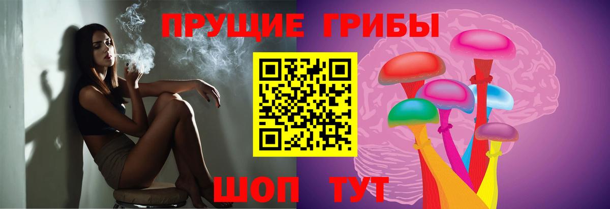 Псилоцибиновые грибы MAGIC MUSHROOMS Ессентуки